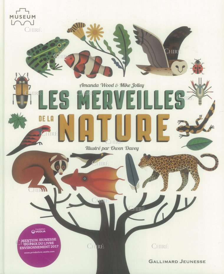 merveilles de la nature arte