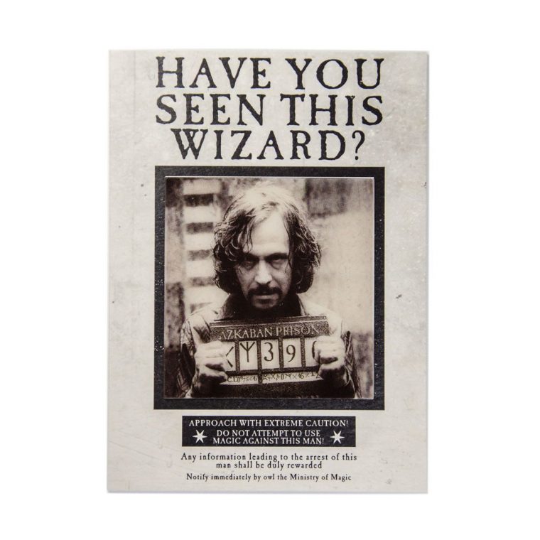 avez vous vu ce sorcier