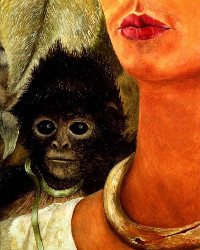 autoportrait avec des singes