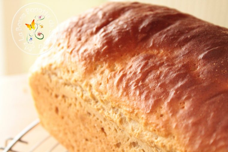brioche ig bas thermomix