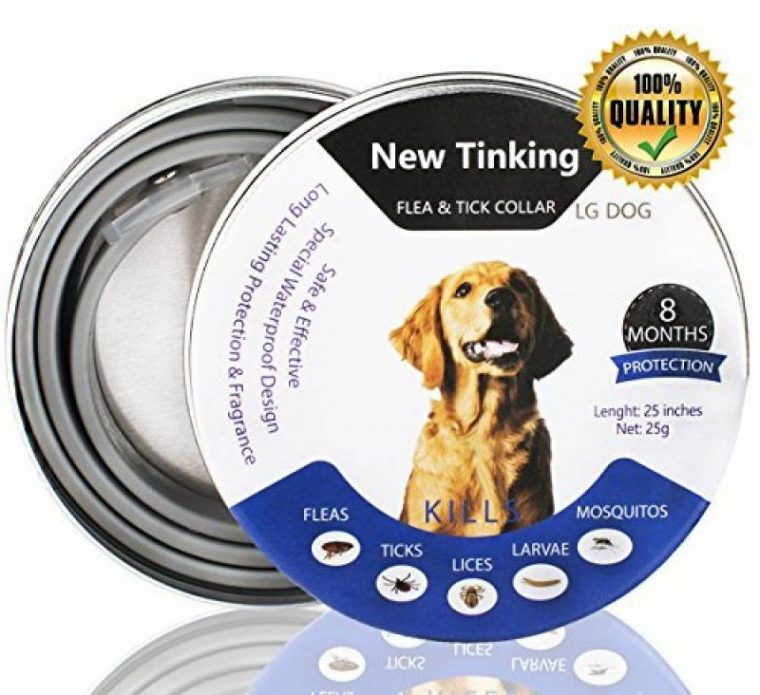 huiles essentielles chien danger