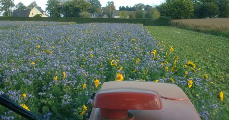 conservation cubi rosé ouvert