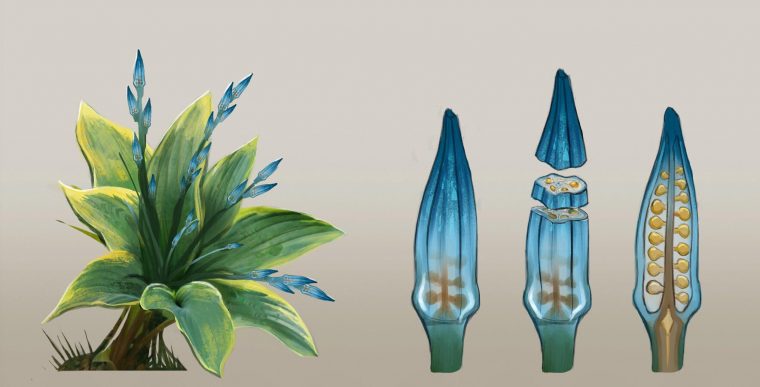 dungeons and dragons sort