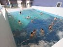 Accueil - Le Point D'eau : Centre Aquatique Sportif Et De ... encequiconcerne Cec Piscine