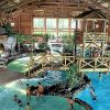 Blue Springs Pool In Disney's Davy Crockett Ranch concernant Piscine Davy Crockett