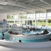 Centre Aquatique - Piscine De Sarrebourg - Horaires, Tarifs ... tout Piscine De Saverne