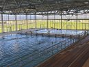 Ceramic Competition Pool / Public / Outdoor - Aquatic Center ... pour Piscine Nemausa