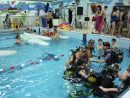 Cherbourg : 9 Sports Aquatiques À Tester | La Presse De La ... pour Piscine Cherbourg