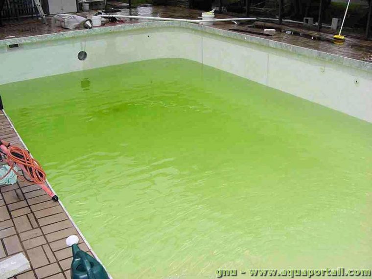 Chloramine: Définition Et Explications serapportantà Chloramine Piscine Chloramine: Définition Et Explications serapportantà Chloramine Piscine