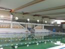 Conflans : Le Centre Aquatique Reprend Du Service - Le Parisien pour Piscine De Conflans
