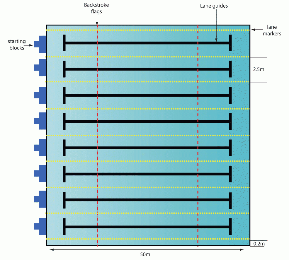 Dimensions For Swimming Pools | Swimming Pool Dimensions ... concernant Piscine Olympique Dimension