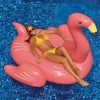 Flamant Rose Gonflable avec Flamant Rose Piscine