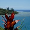 Hotel Malabou Beach - Prices &amp; Reviews (New Caledonia/grand ... serapportantà Babou Piscine