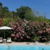 It's Summer, Spend The Day At Home - Bergerie Du Moulin encequiconcerne Piscine Freedom