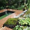 Jardin: La Piscine Naturelle Et L'étang De Baignade | Le Devoir serapportantà Piscine Naturelle En Kit