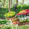 La Pépinière Et La Jardinerie | Guide Piscines Et Jardins destiné Piscine Pepiniere