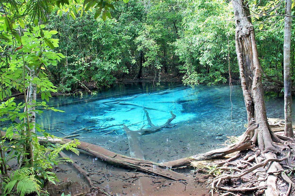 La Piscine D'émeraude Et Le Lac Bleu À Krabi - Thailand-Trip.org avec Piscine Emeraude