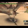 Monster Hunter Freedom [14] - Liver Of Legend concernant Freedom Piscine