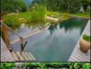 Natural Swimming Ponds, Also Called Natural Pools, Are A ... encequiconcerne Piscine Gonflable Gifi