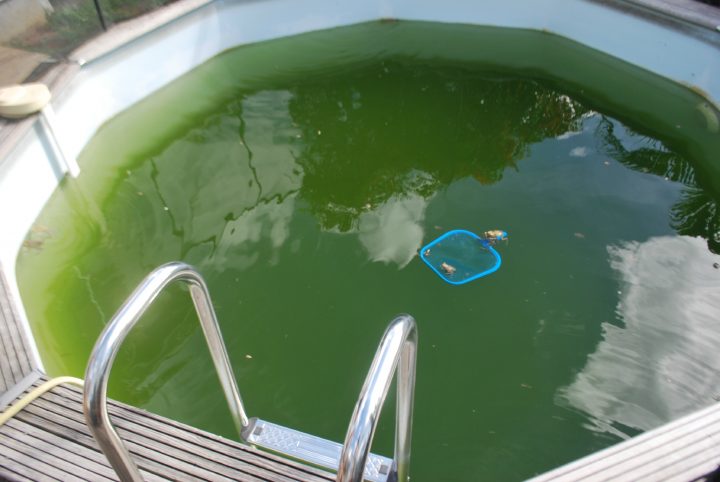 Pourquoi Une Piscine Au Sel ???? - Ma Vie De Nantillaise ... avec Piscine Eau Salée