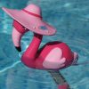 Thermometre Flamand Rose tout Flamant Rose Piscine