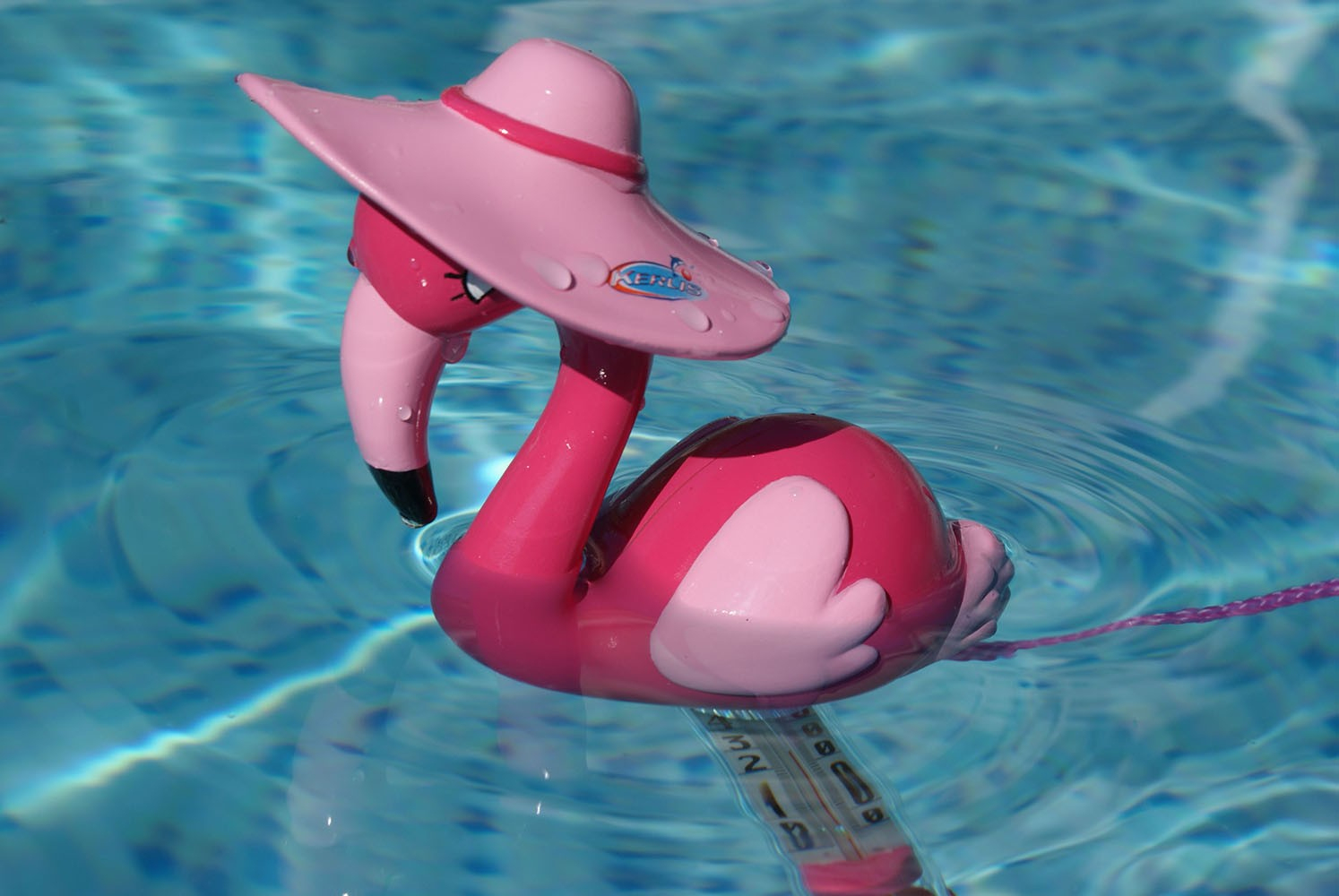 Thermometre Flamand Rose tout Flamant Rose Piscine
