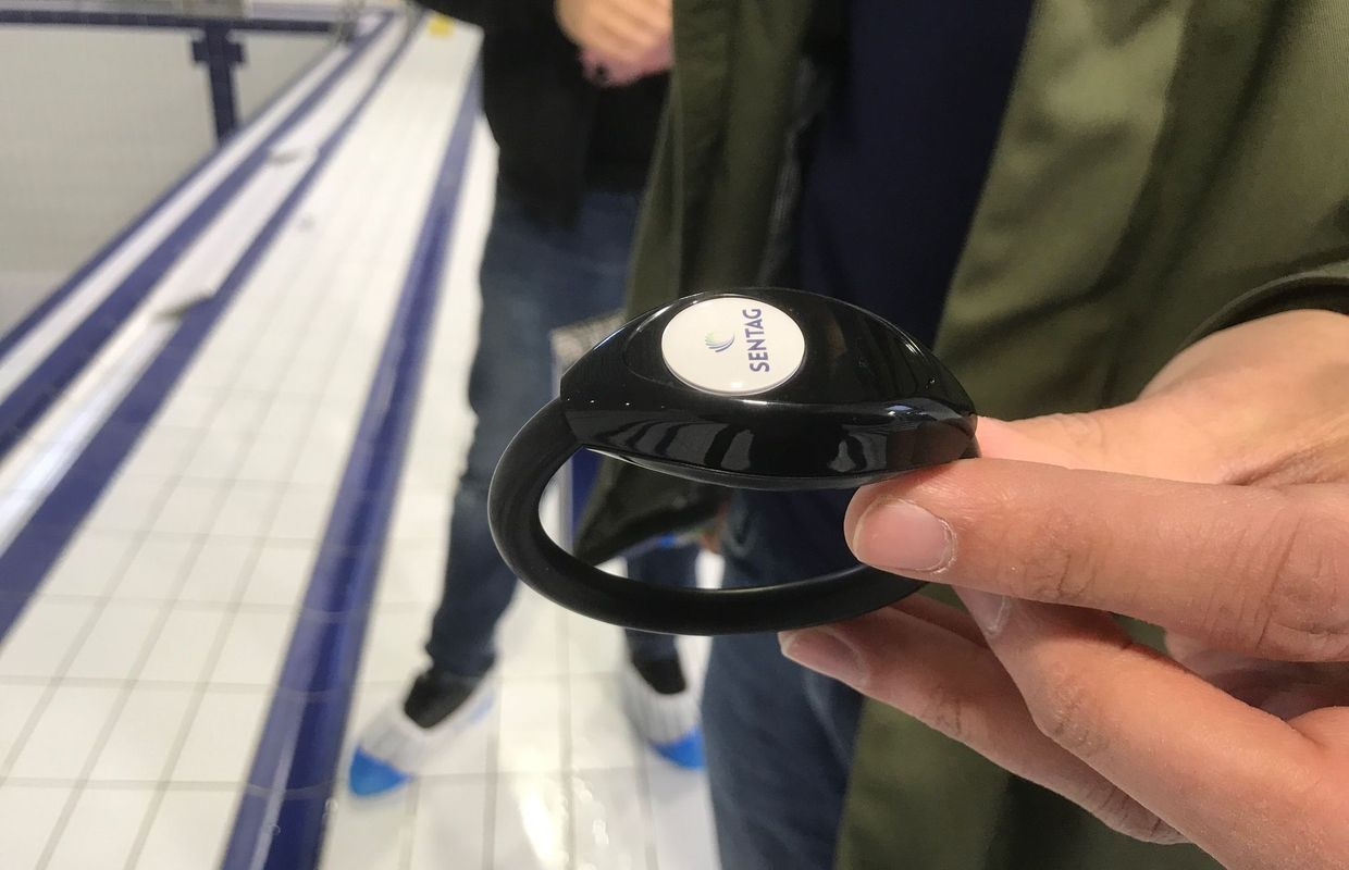 Un Dispositif Anti-Noyade Unique En Belgique À La Piscine De ... serapportantà Bracelet Connecté Piscine