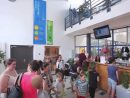 Vidéo | Centre Aquatique De Bois-Colombes intérieur Piscine De Bois Colombes