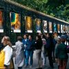 Yann Arthus-Bertrand Photo | Outdoor Exhibitions | Official tout Piscine Square Du Luxembourg