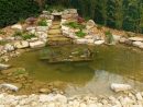 Bassin De Type Bio Top ~~ L'eau Jardin Brignoles (Var ... tout Creation De Bassin