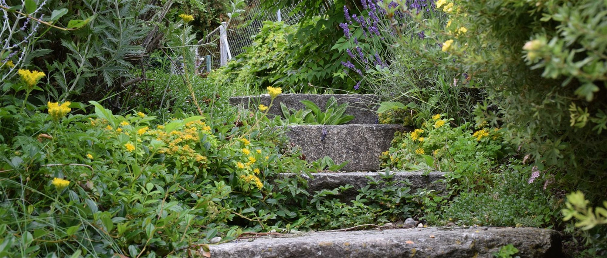 Comment Aménager Un Jardin En Pente ? - Gardena concernant Amanagement Jardin En Pente