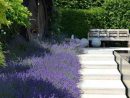 Déco Jardin Zen Extérieur Amenagement #modernlandscapedesign ... serapportantà Deco Zen Exterieur