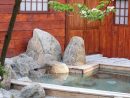 Épinglé Sur Créateur Jardins Inspiration Japonaise pour Creation De Bassin