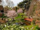 File:musée Albert Kahn - Jardin Japonais - Cerisiers Et ... serapportantà Modele De Jardin Japonais
