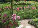 Joli Jardin. Allée De Jardin | Beautiful Gardens, Gorgeous ... tout Allee De Jardin