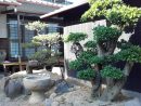 Le Tour Du Monde De Selma: Le Jardin Japonais avec Modele De Jardin Japonais