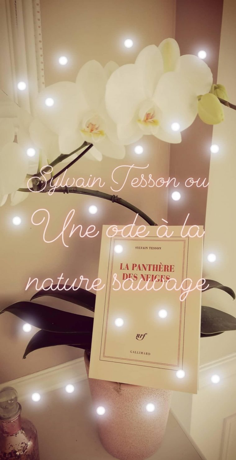 la panthère des neiges livre résumé par chapitre