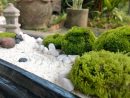 1001+ Conseils Pratiques Pour Une Déco De Jardin Zen serapportantà Comment Faire Un Petit Jardin