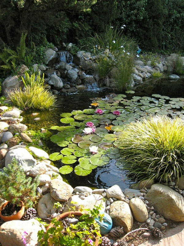 27 Idéés Pour Le Bassin De Jardin Préformé , Hors Sol ... intérieur Plante Bassin De Jardin