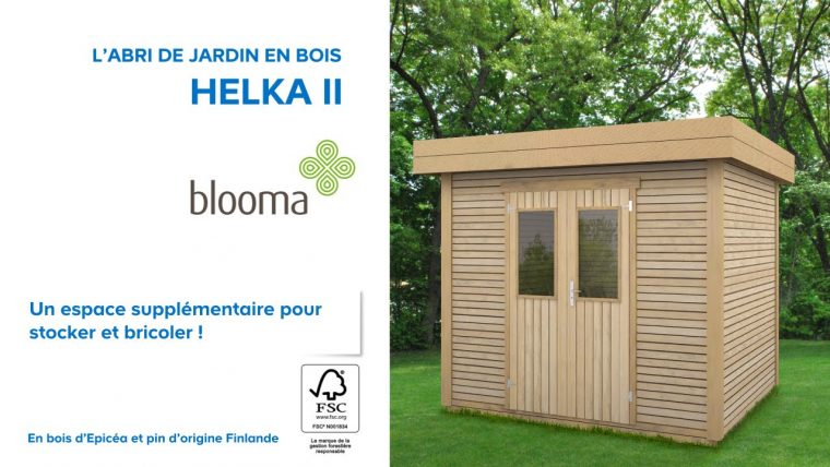 Abri De Jardin Bois 5M2 Castorama encequiconcerne Toiture Abri De Jardin Castorama