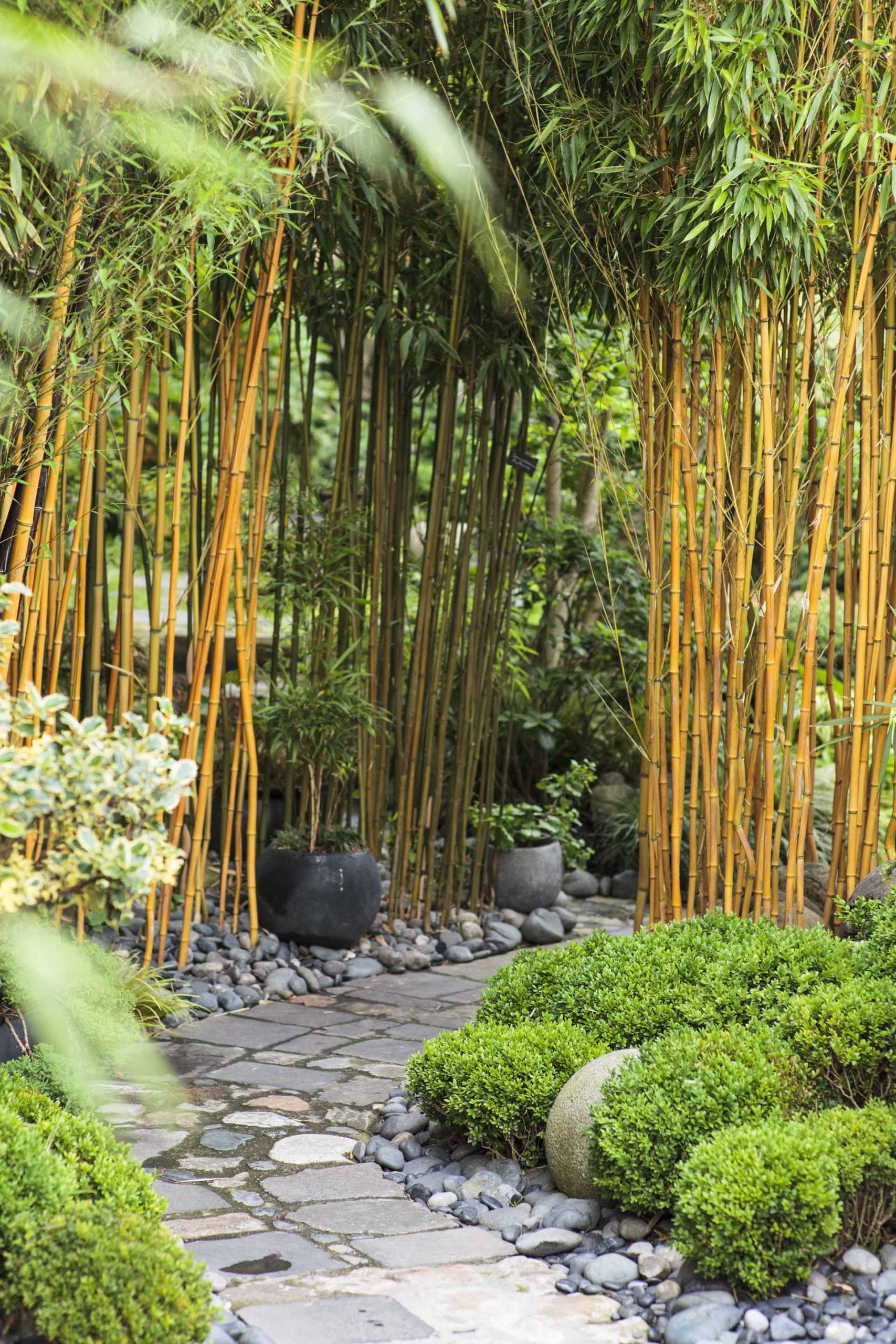 Aménager Un Jardin Japonais Chez Soi | Jardin Japonais ... pour Amenagement Jardin Zen