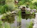 Bassin De Jardin : Bien Choisir L'Emplacement | Dossier concernant Plante Bassin De Jardin