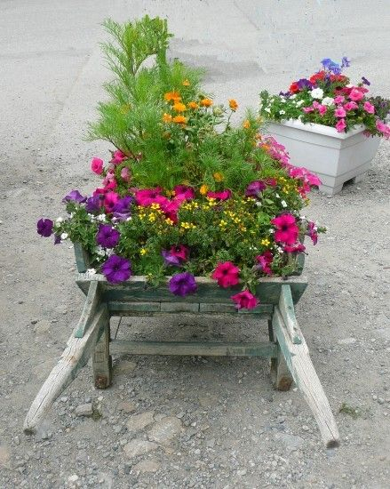 Brouette Fleurie | Brouette, Fleurs, Decoration Jardin à Brouette Deco Jardin