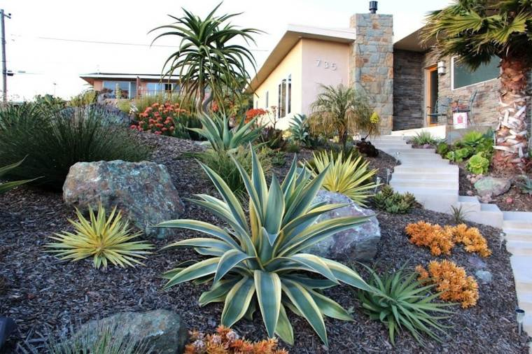 Cactus Et Plantes Grasses Extérieur Pour Un Jardin Facile ... intérieur Deco Massif Exterieur