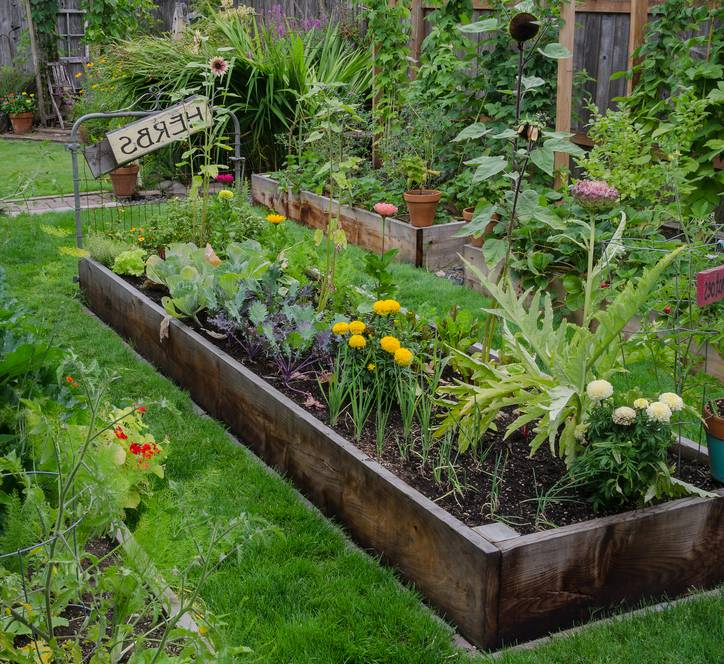 Comment Aménager Un Jardin En Longueur ? - Jardiner Malin avec Amanager Un Jardin