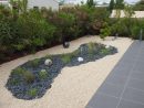 Création D'Un Jardin Sec: Un Beau Jardin Avec Peu D'Entretien. concernant Creer Un Jardin Paysager