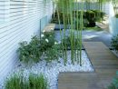 Decoration Terrasse Jardin Japonais - Le Spécialiste De La ... à Deco Jardin Moderne