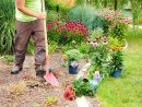 Entretien De Votre Jardin - Lëlljer Gaart - Atelier Protégé à Tarif Entretien Jardin