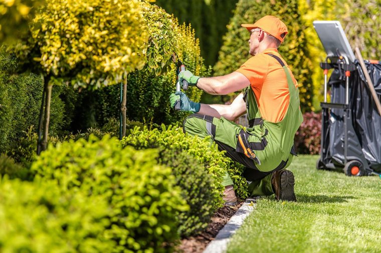 Entretien Jardin Et Espace Vert | Cuypservices À Waremme ... destiné Entretien Jardin Tarif