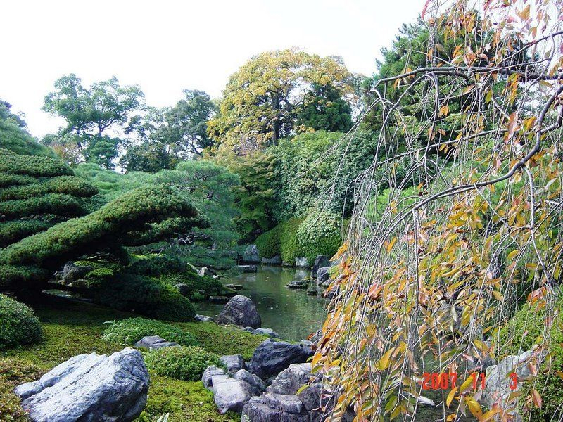 Jardin Japonais .Org | Collection Photo Pour La Creation ... dedans Creation Jardin Japonais